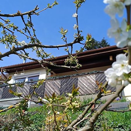 Ferienwohnung Zum Maerchenwald Bergfreiheit Εξωτερικό φωτογραφία