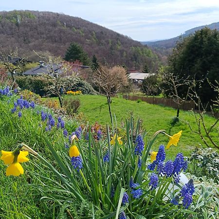 Ferienwohnung Zum Maerchenwald Bergfreiheit Εξωτερικό φωτογραφία