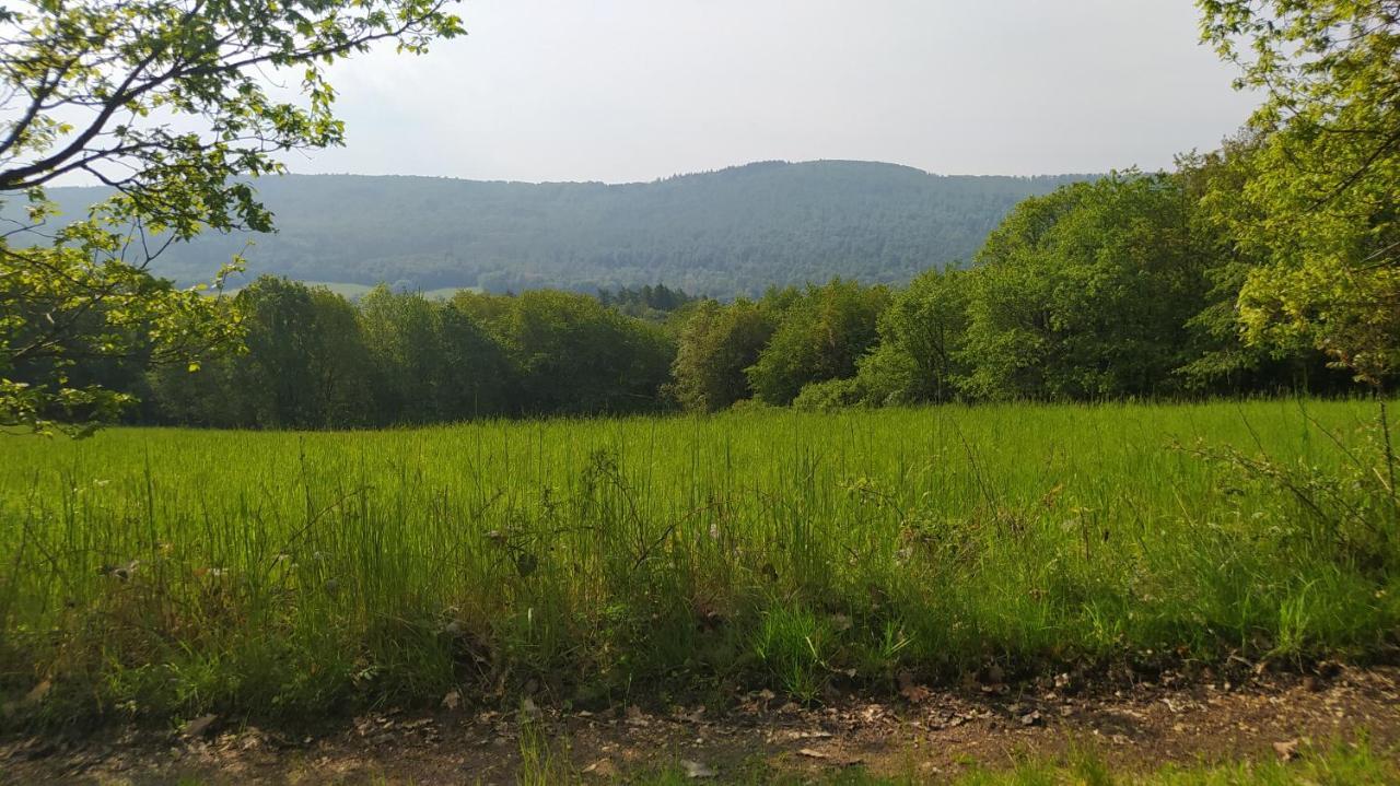 Ferienwohnung Zum Maerchenwald Bergfreiheit Εξωτερικό φωτογραφία