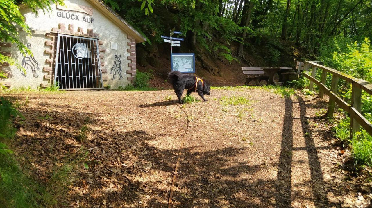Ferienwohnung Zum Maerchenwald Bergfreiheit Εξωτερικό φωτογραφία