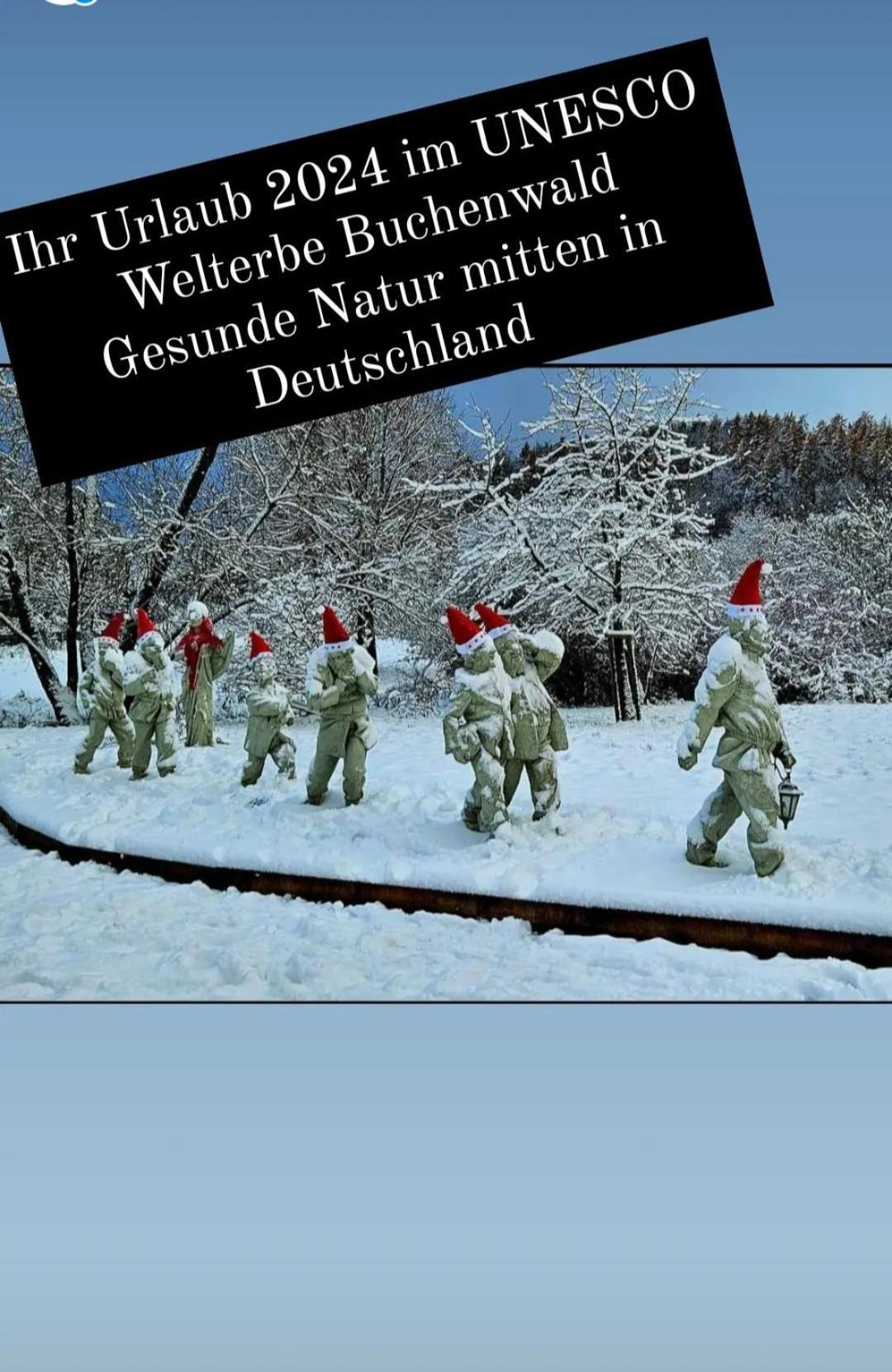 Ferienwohnung Zum Maerchenwald Bergfreiheit Εξωτερικό φωτογραφία