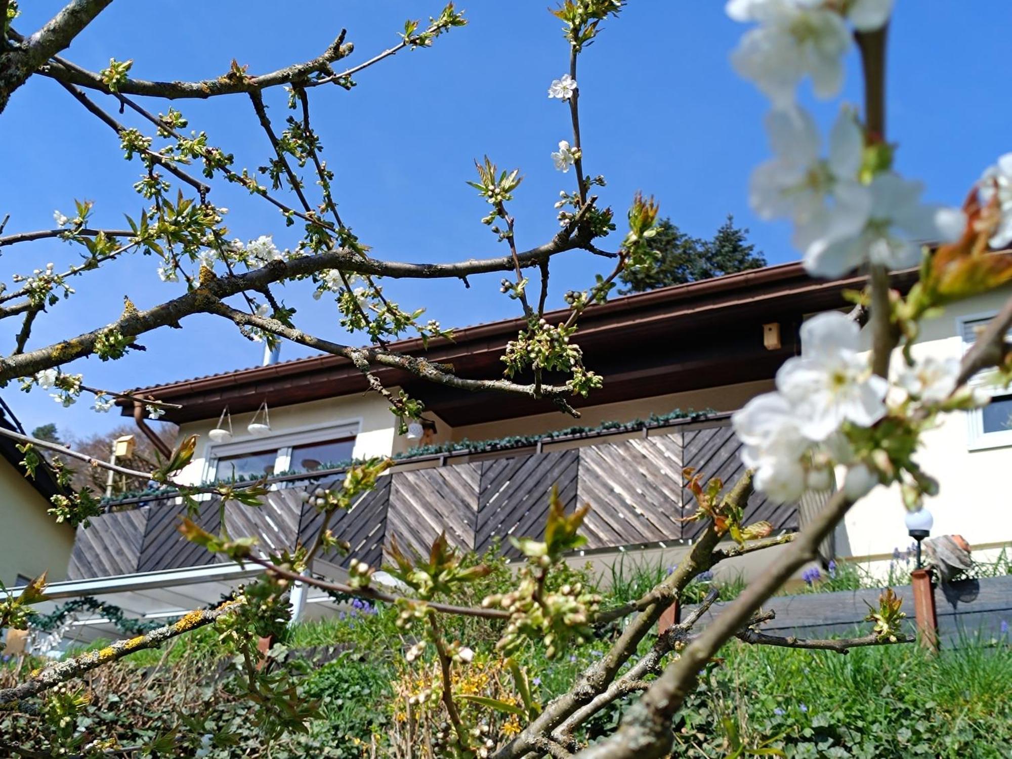 Ferienwohnung Zum Maerchenwald Bergfreiheit Εξωτερικό φωτογραφία