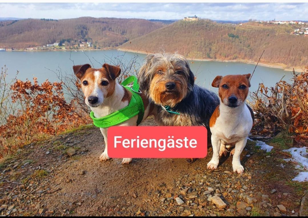 Ferienwohnung Zum Maerchenwald Bergfreiheit Εξωτερικό φωτογραφία