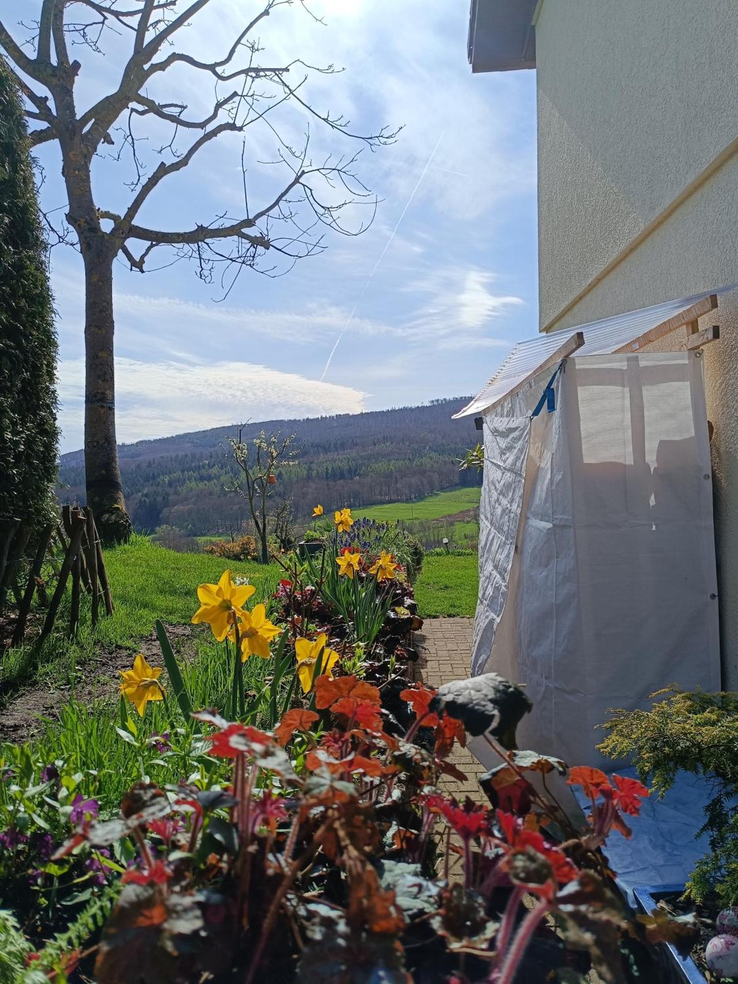Ferienwohnung Zum Maerchenwald Bergfreiheit Εξωτερικό φωτογραφία