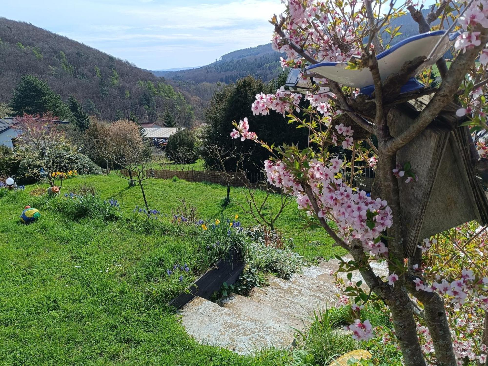 Ferienwohnung Zum Maerchenwald Bergfreiheit Εξωτερικό φωτογραφία